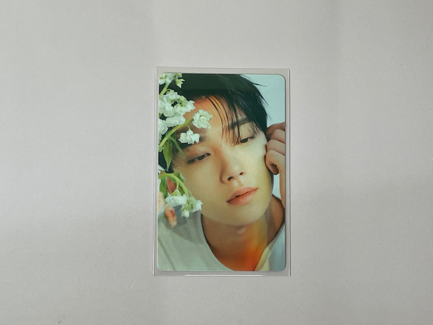 Seventeen The Best (DEAR) Version - Joshua Photocard Set No. 1