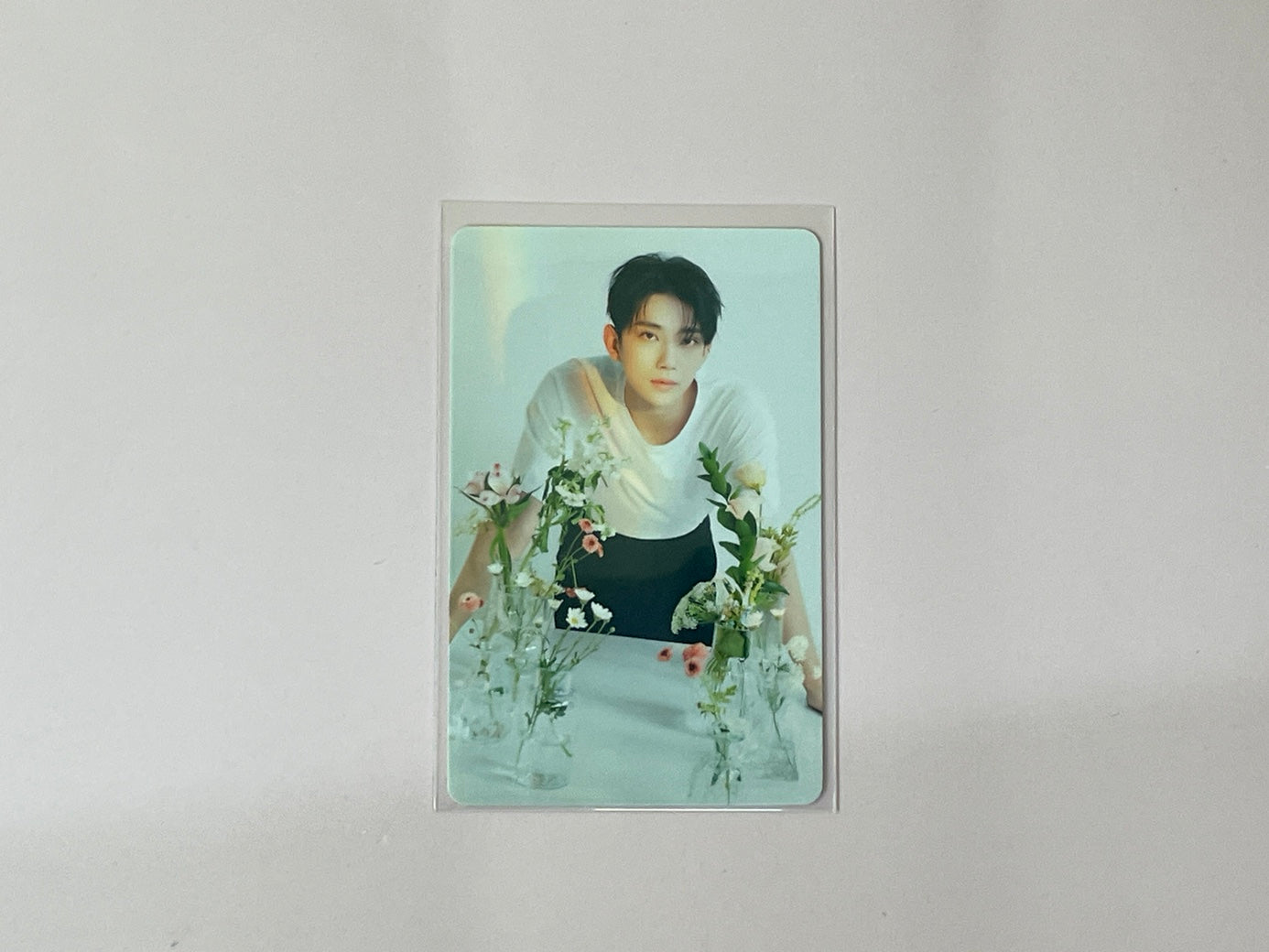 Seventeen The Best (DEAR) Version - Joshua Photocard Set No. 1