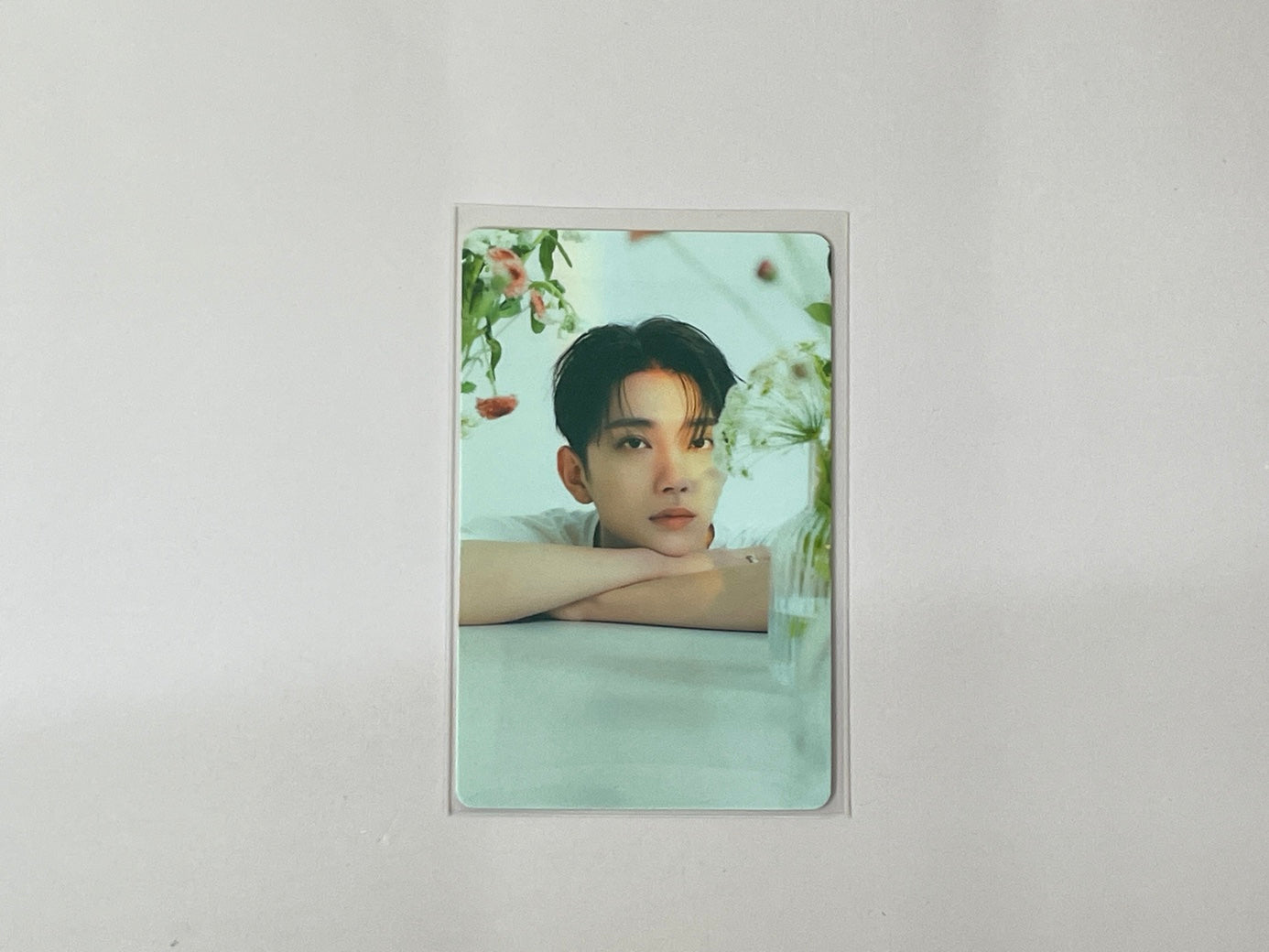 Seventeen The Best (DEAR) Version - Joshua Photocard Set No. 1