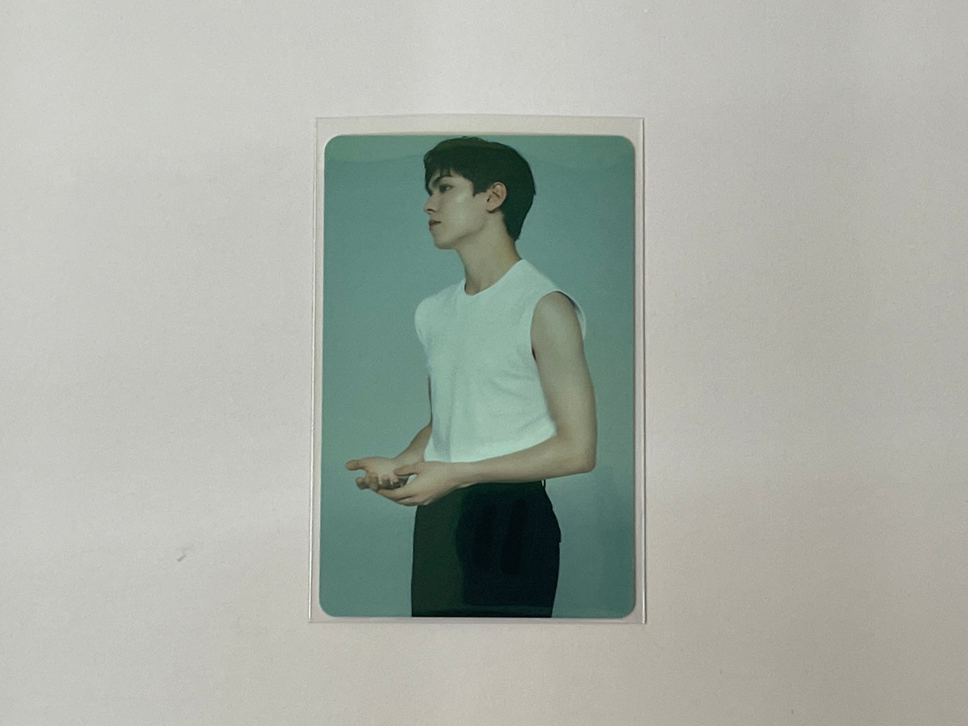 Seventeen The Best (DEAR) Version - Vernon Photocard Set No.1