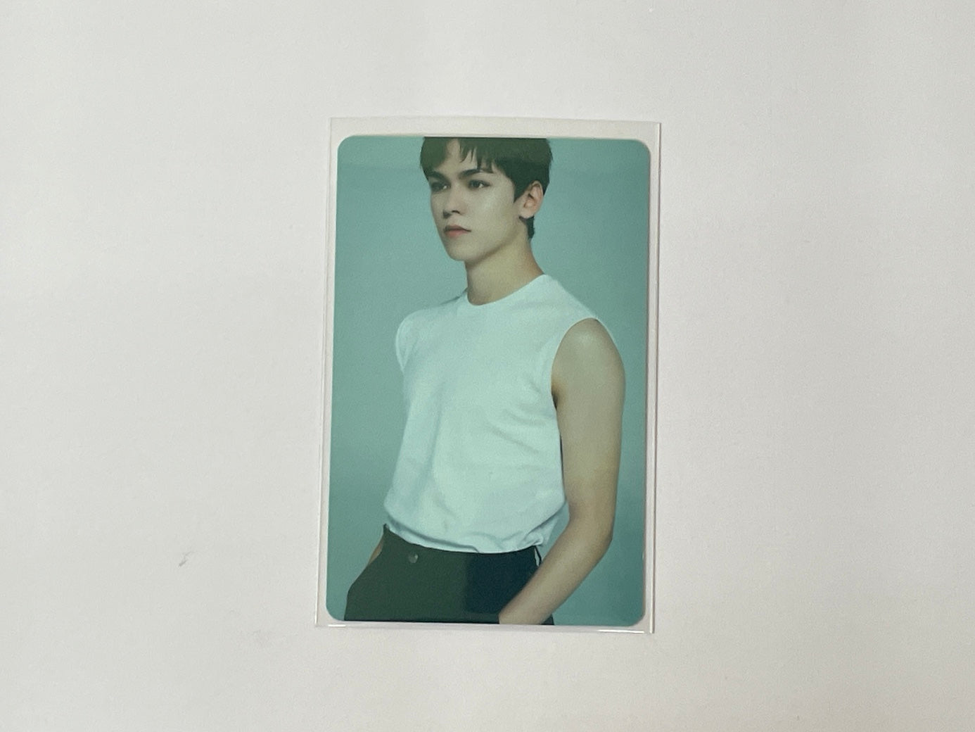 Seventeen The Best (DEAR) Version - Vernon Photocard Set No.1