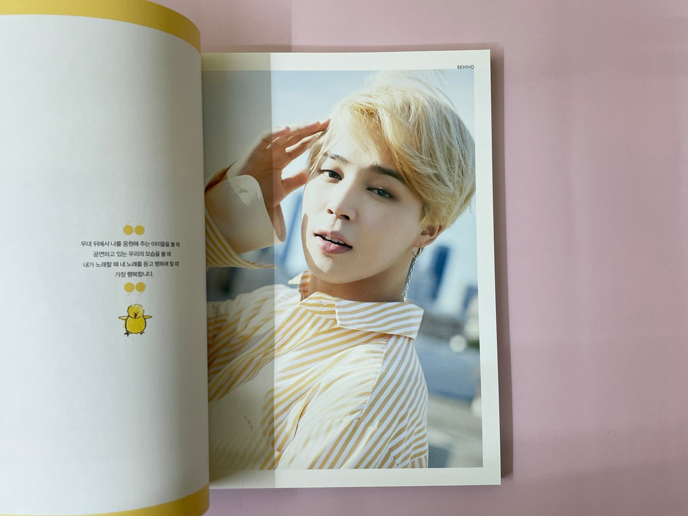 BTS Dicon 2018 Behind Dispatch Magazine - Photobook Only (Pre Owned)