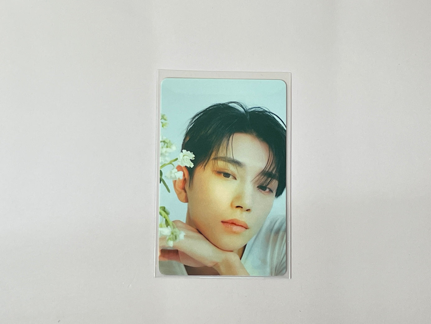 Seventeen The Best (DEAR) Version - Joshua Photocard Set No. 1