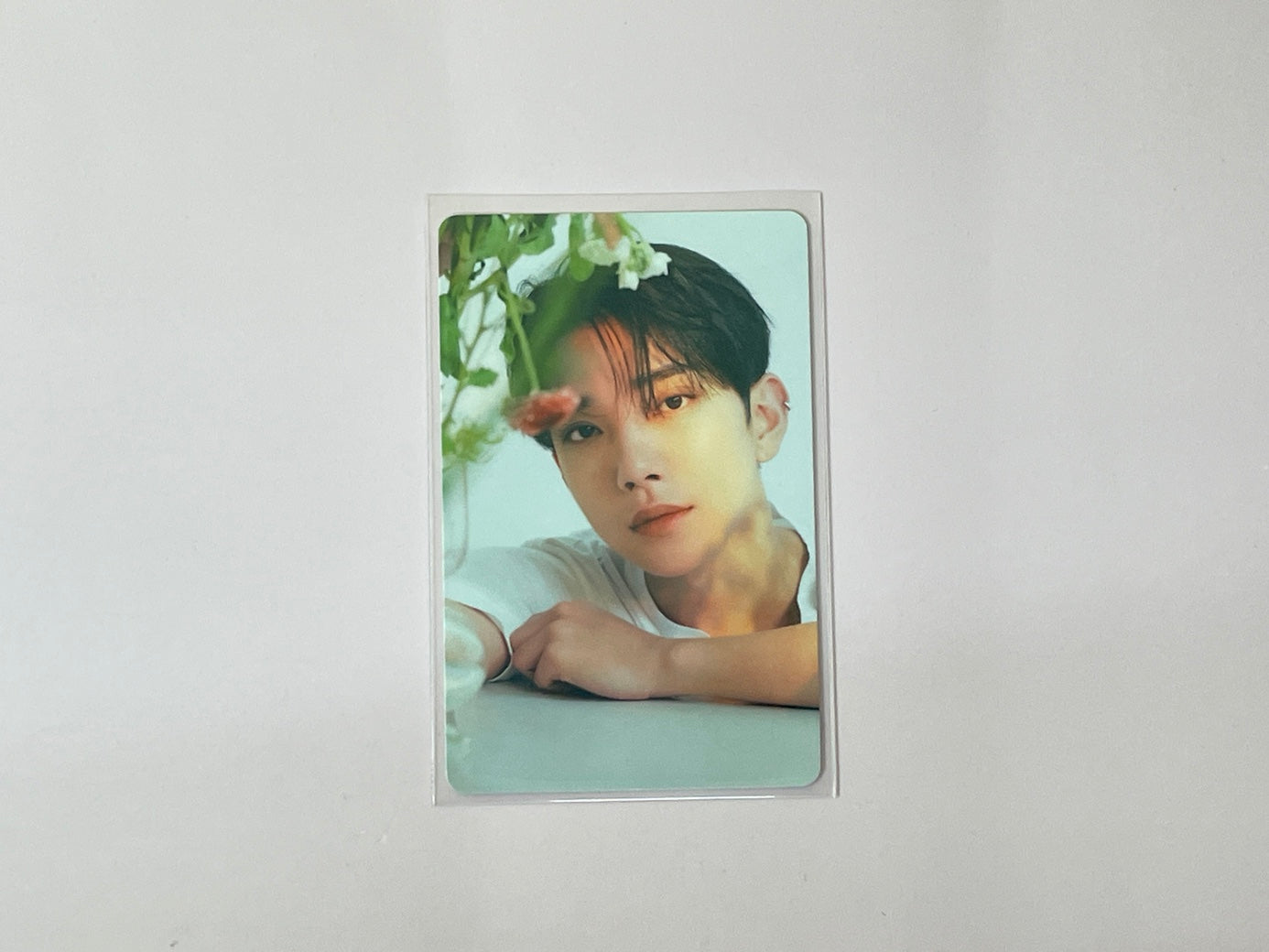 Seventeen The Best (DEAR) Version - Joshua Photocard Set No. 1