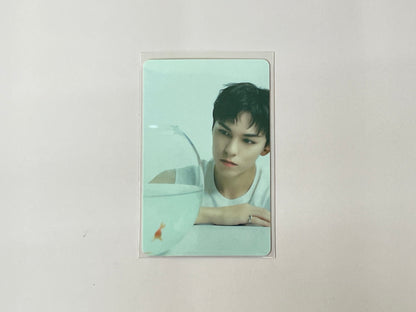 Seventeen The Best (DEAR) Version - Vernon Photocard Set No.3